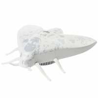 Read FinnishDesignShop.fi Reviews